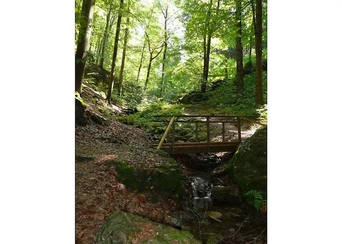 In With Wi-fi Casa vacanze Gießübel